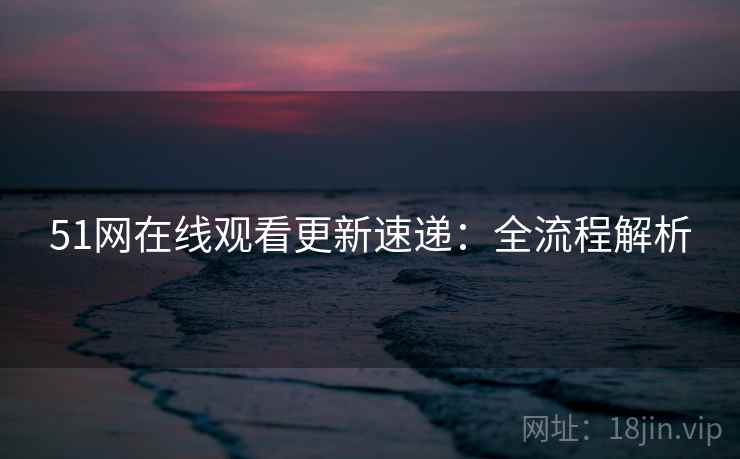 51网在线观看更新速递：全流程解析