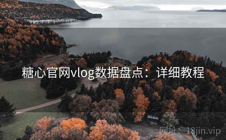糖心官网vlog数据盘点：详细教程