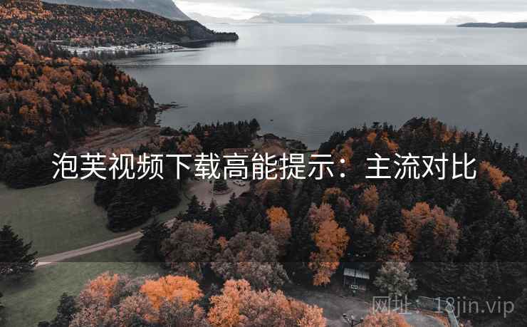 泡芙视频下载高能提示：主流对比