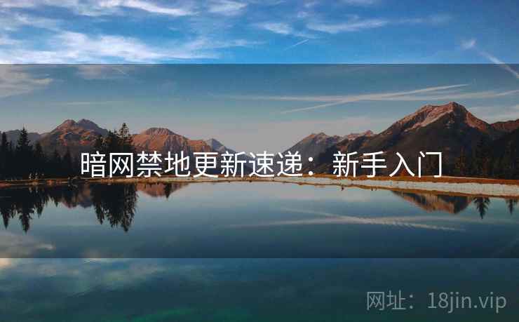 暗网禁地更新速递：新手入门