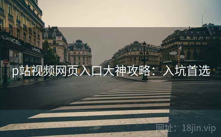 p站视频网页入口大神攻略：入坑首选