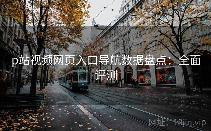 p站视频网页入口导航数据盘点：全面评测